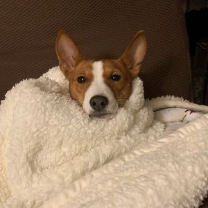 Meet your Posher, Jon